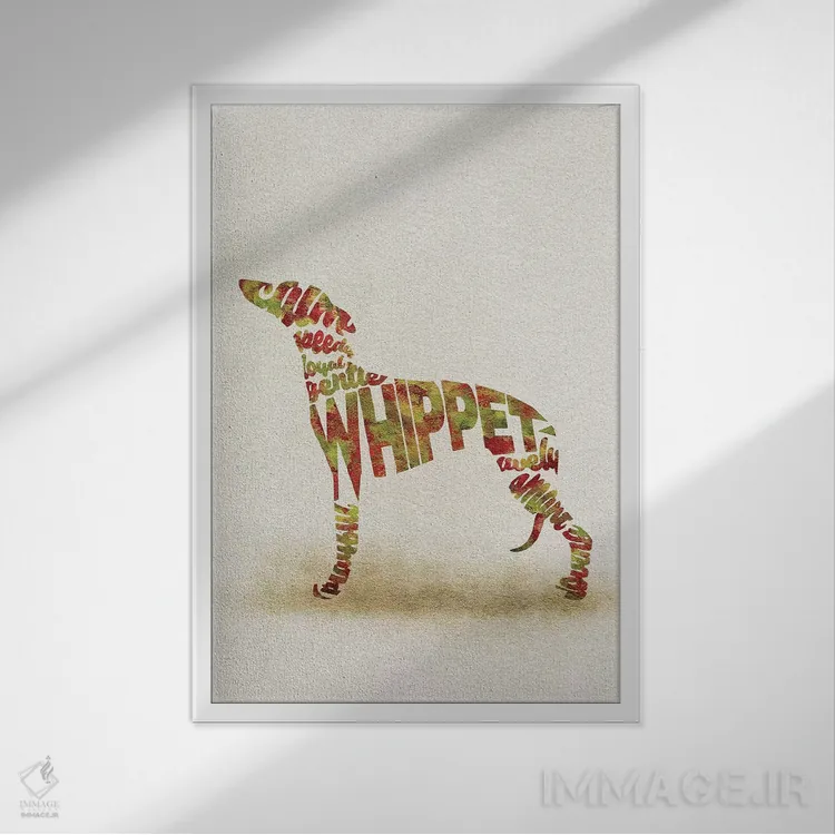 تابلو ویپت (نژاد سگ دونده کوچک) اثر آیشه دنیز آکِرمان - نمای قابدار سفید