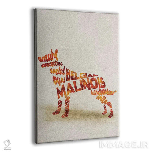 تابلو سگ مالینویز بلژیکی اثر آیشه دنیز آکِرمان - نمای پرسپکتیو محصول