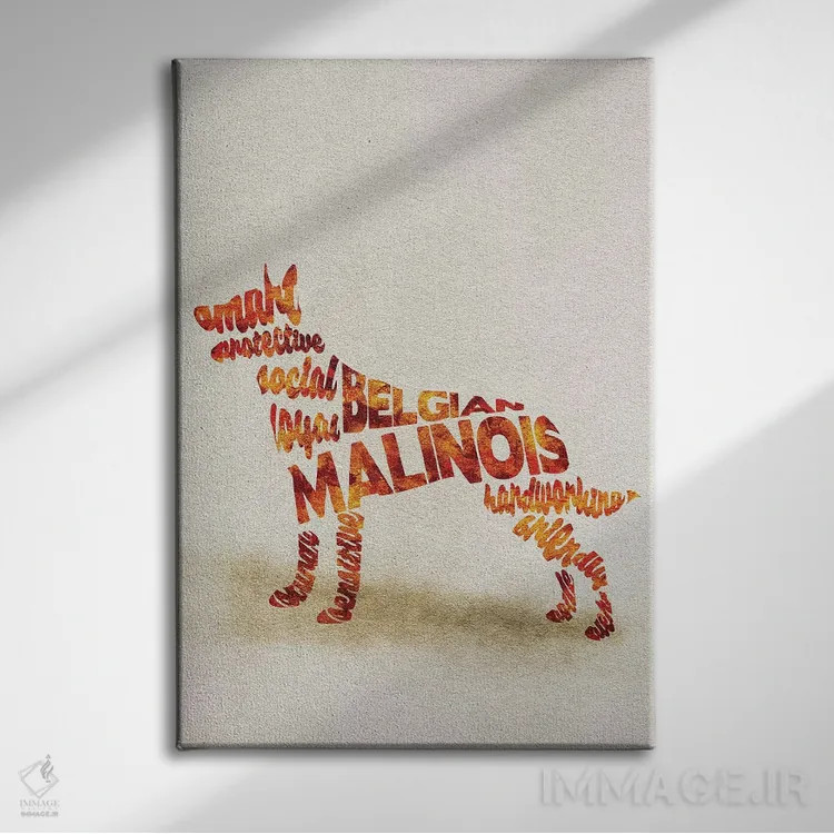 تابلو سگ مالینویز بلژیکی اثر آیشه دنیز آکِرمان - نمای روبهرو روی دیوار