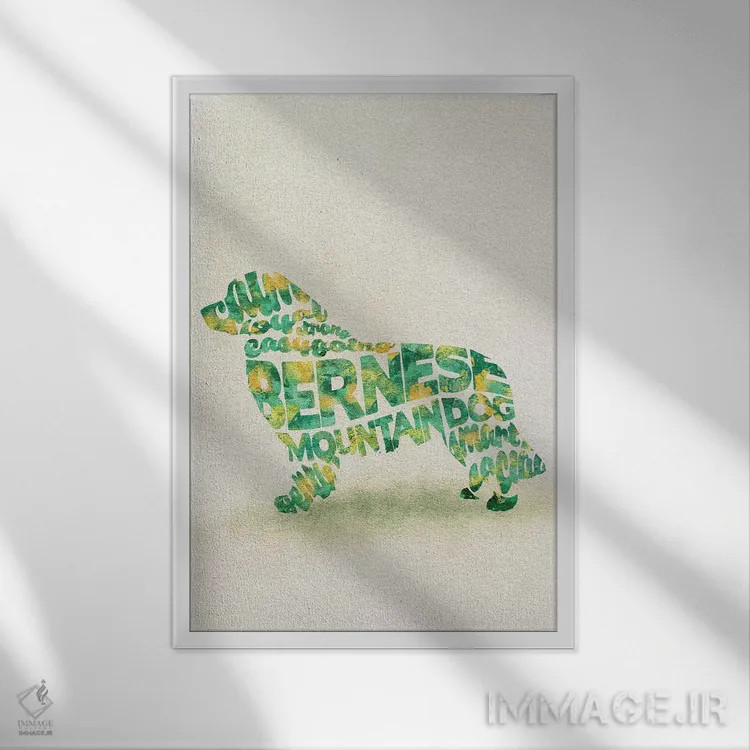 تابلو سگ برنیز ماونتین داگ اثر آیشه دنیز آکِرمان - نمای قابدار سفید