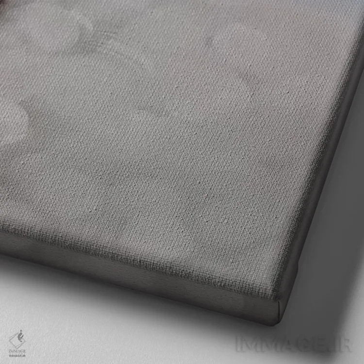 تابلو گلدیلاکس (اسم خاص؛ شخصیت داستانی کودکانه) اثر آدکونله آدلاکه - نمای نزدیک بافت بوم