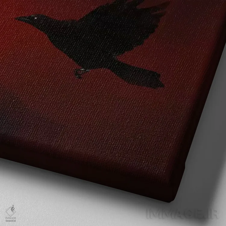 تابلو سفید و سیاه ۱ اثر آدکونله آدلاکه - نمای نزدیک بافت بوم