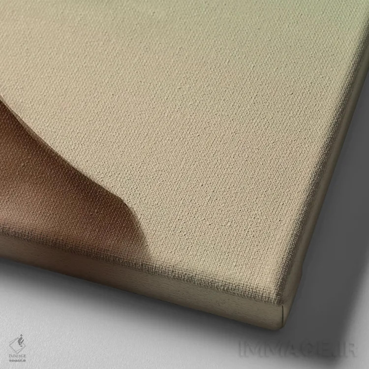 تابلو حسادت اثر آدکونله آدلاکه - نمای نزدیک بافت بوم