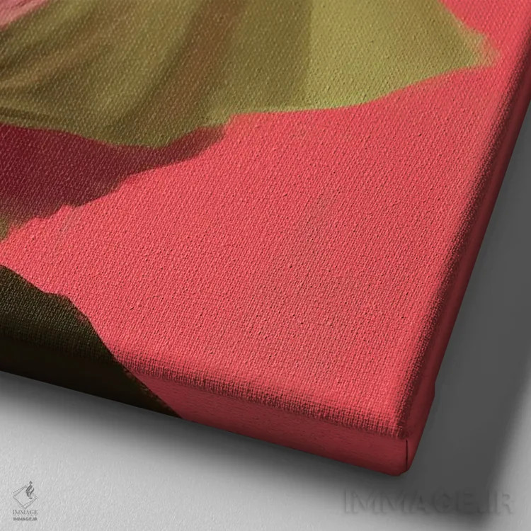 تابلو تکرنگ صورتی اثر آدکونله آدلاکه - نمای نزدیک بافت بوم