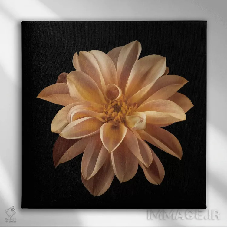 تابلو چهار نگهداری دوم اثر آصاف فرانک - نمای روبهرو روی دیوار