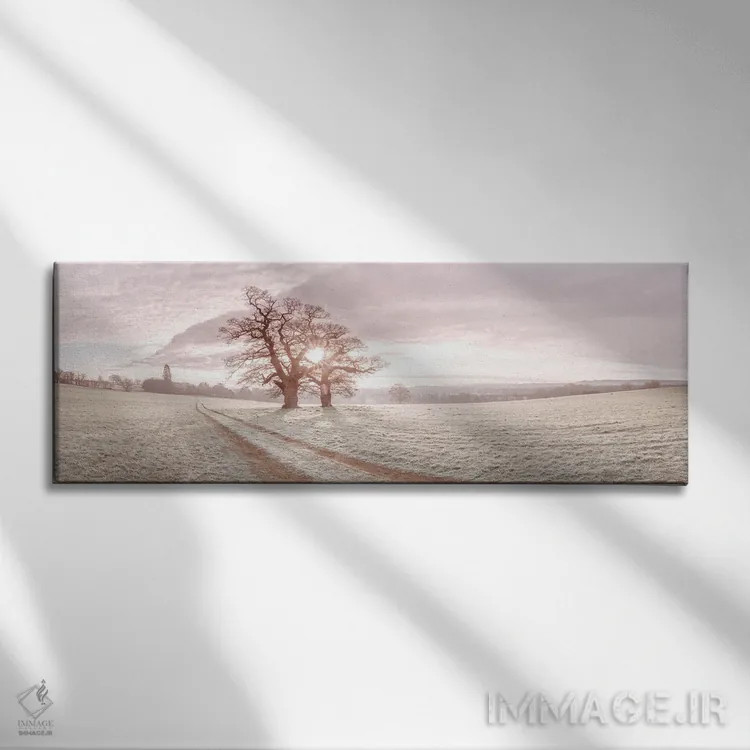 تابلو طلوع نرم اثر آصاف فرانک - نمای روبهرو روی دیوار