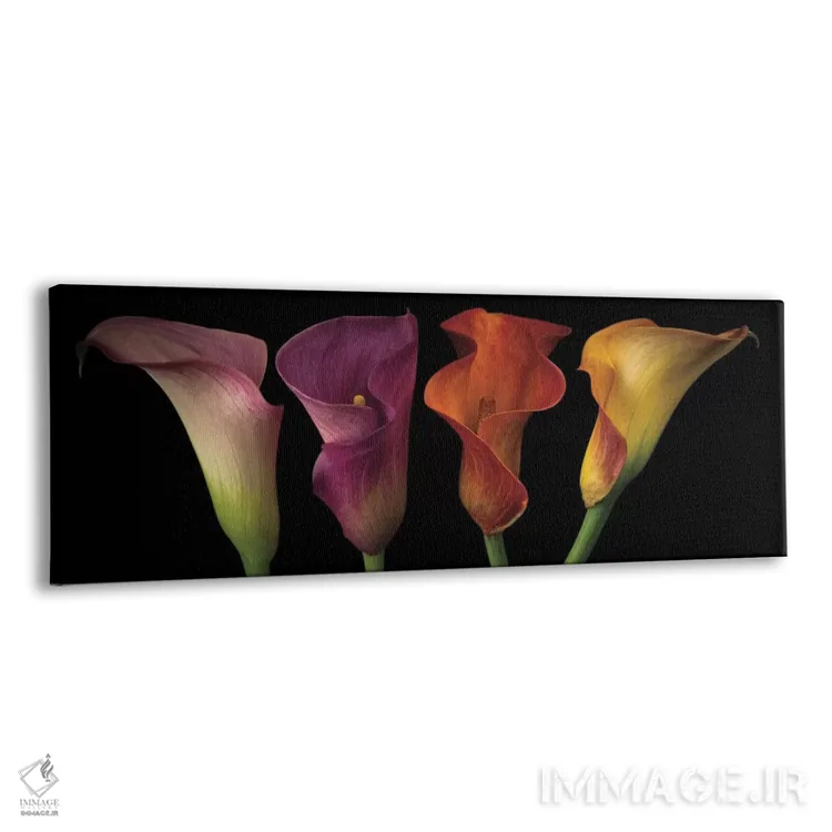 تابلو زنبق کالای جواهری اثر آصاف فرانک - نمای پرسپکتیو محصول