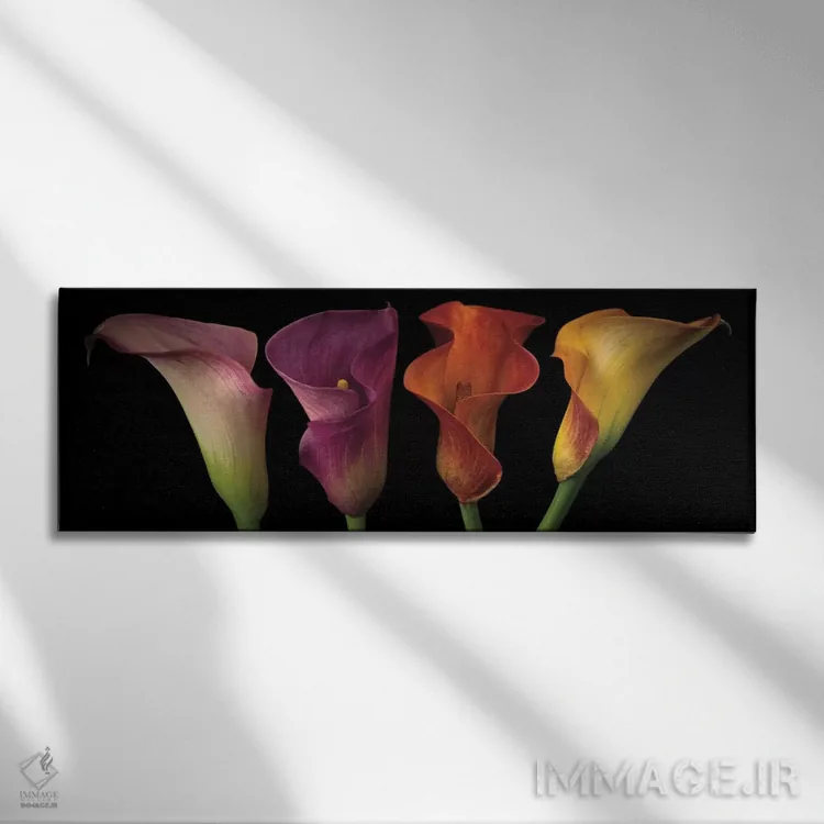 تابلو زنبق کالای جواهری اثر آصاف فرانک - نمای روبهرو روی دیوار