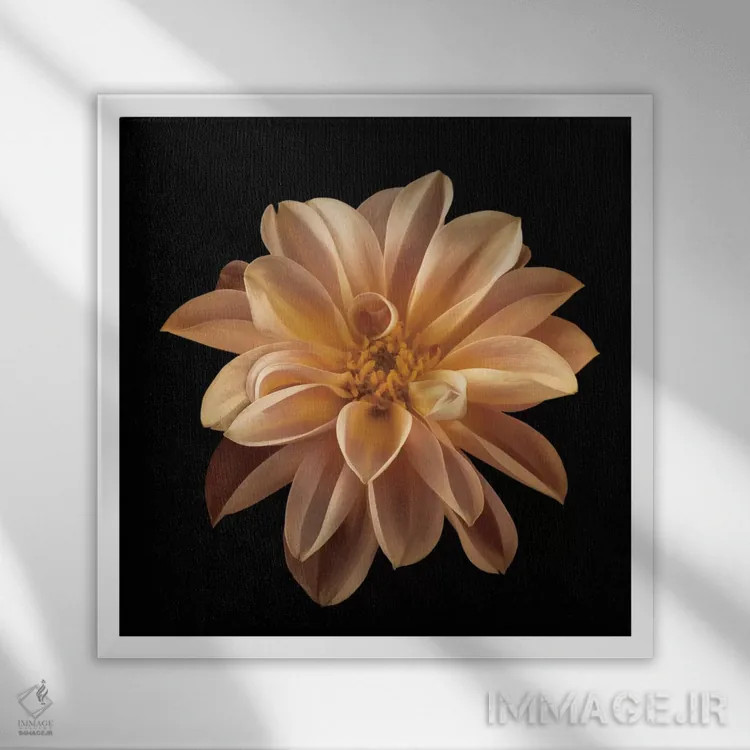 تابلو چهار نگهداری دوم اثر آصاف فرانک - نمای قابدار سفید