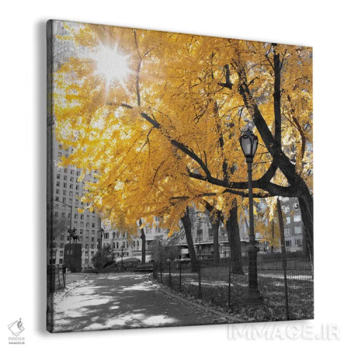 تابلو پارک زیبا دوم اثر آصاف فرانک - نمای پرسپکتیو محصول