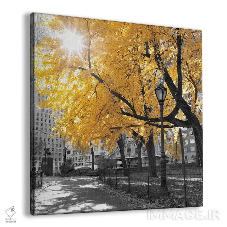 تابلو پارک زیبا دوم اثر آصاف فرانک - نمای پرسپکتیو محصول