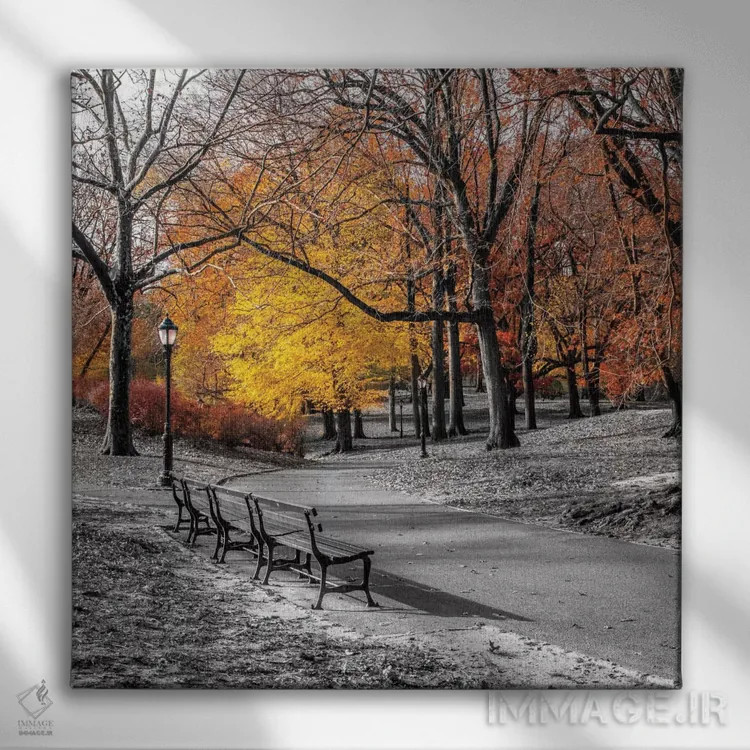 تابلو پارک زیبا اول اثر آصاف فرانک - نمای روبهرو روی دیوار