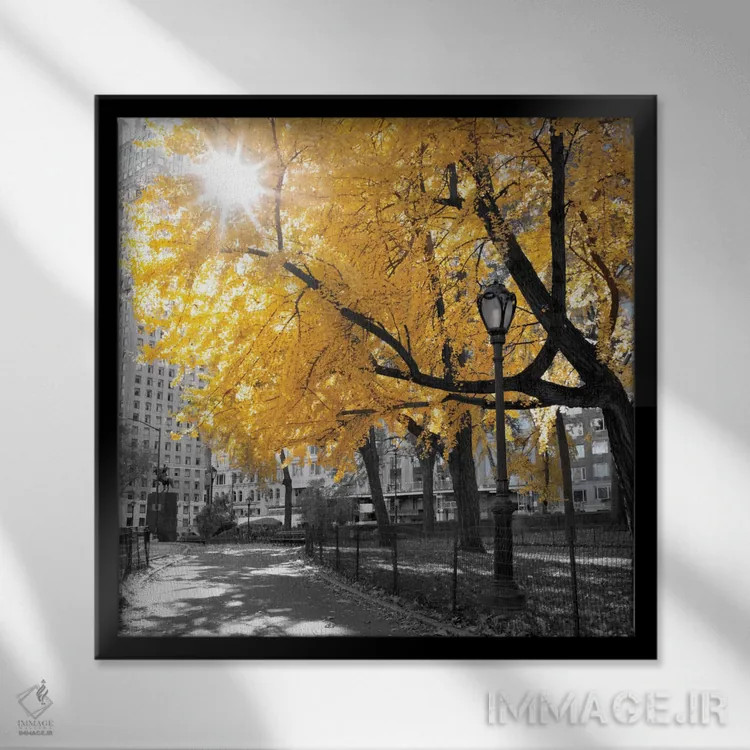 تابلو پارک زیبا دوم اثر آصاف فرانک - نمای قابدار مشکی