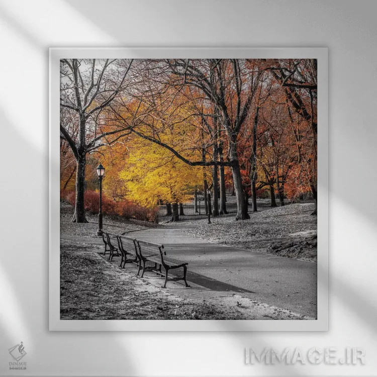 تابلو پارک زیبا اول اثر آصاف فرانک - نمای قابدار سفید