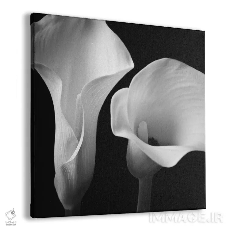 تابلو نرمی دوم اثر آصاف فرانک - نمای پرسپکتیو محصول