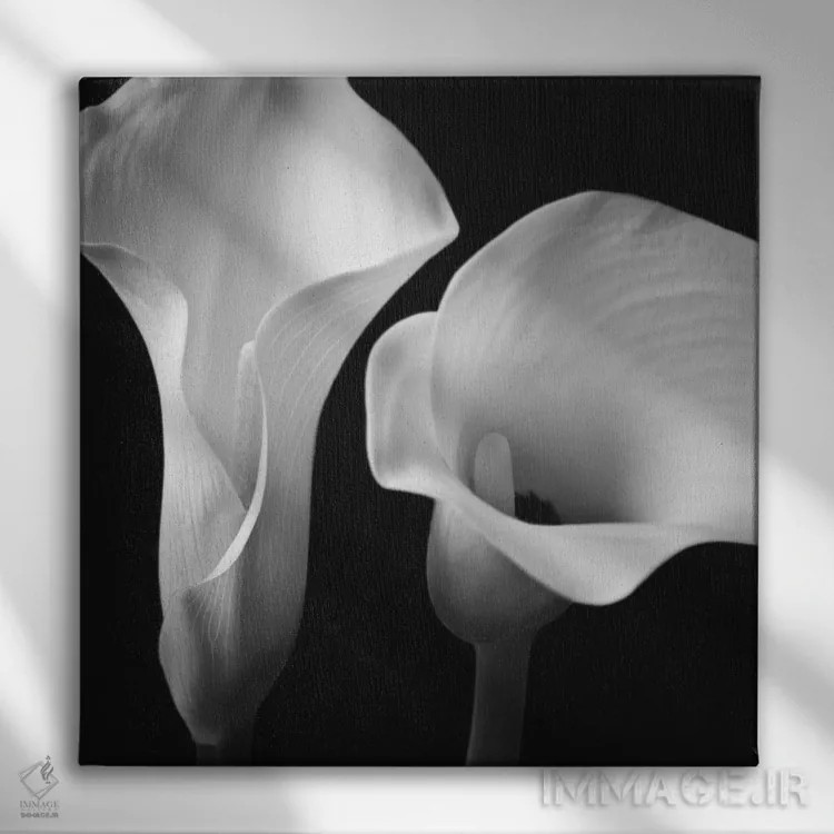 تابلو نرمی دوم اثر آصاف فرانک - نمای روبهرو روی دیوار