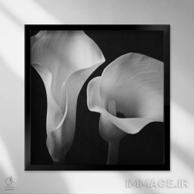 تابلو نرمی دوم اثر آصاف فرانک - نمای قابدار مشکی