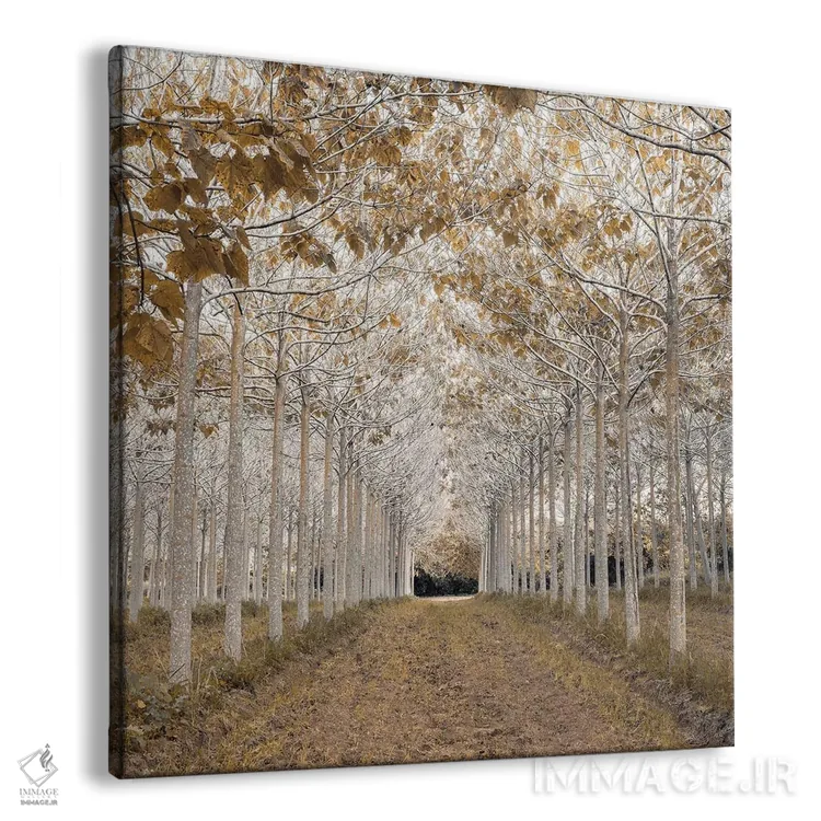 تابلو طلای سفید اثر آصاف فرانک - نمای پرسپکتیو محصول