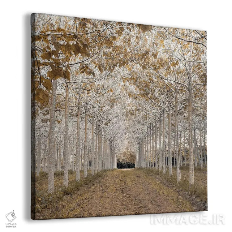 تابلو طلای سفید اثر آصاف فرانک - نمای پرسپکتیو محصول