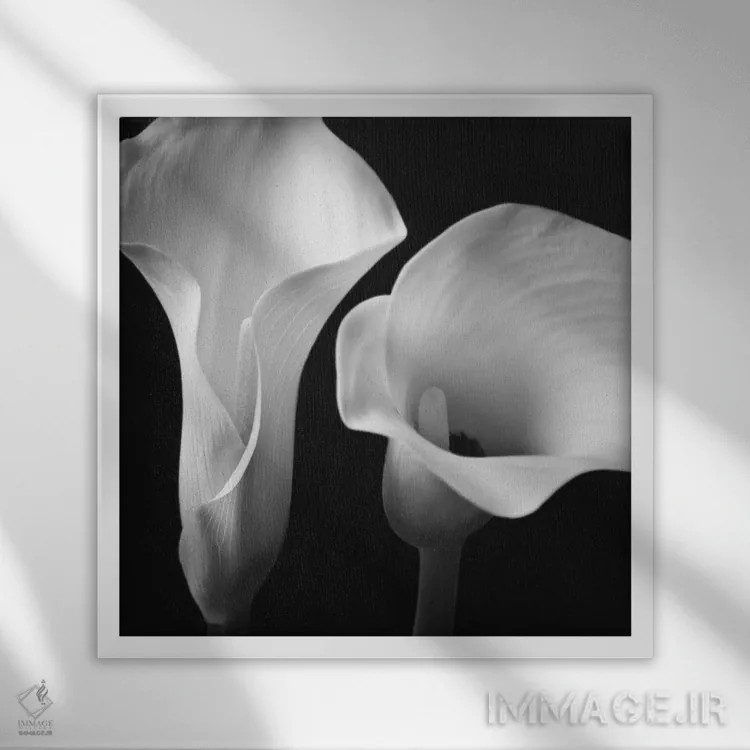 تابلو نرمی دوم اثر آصاف فرانک - نمای قابدار سفید