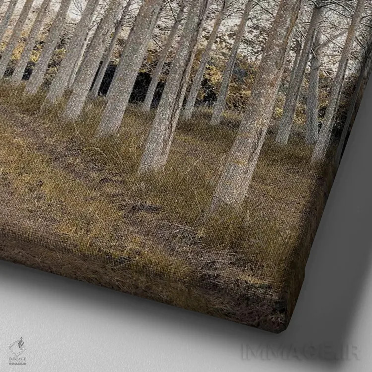 تابلو طلای سفید اثر آصاف فرانک - نمای نزدیک بافت بوم