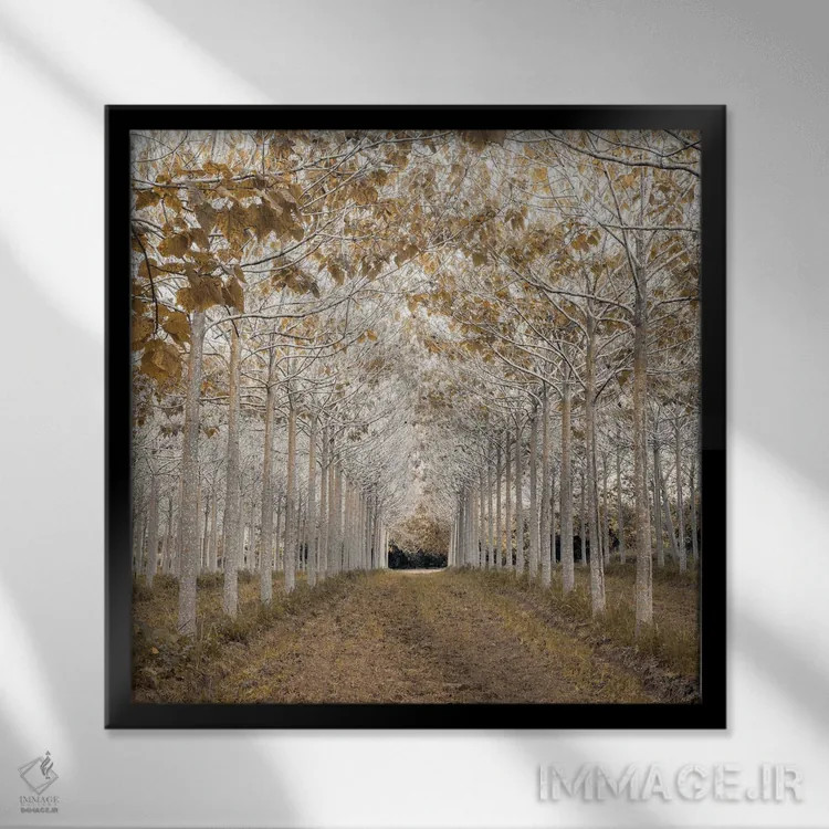 تابلو طلای سفید اثر آصاف فرانک - نمای قابدار مشکی