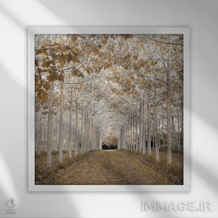 تابلو طلای سفید اثر آصاف فرانک - نمای قابدار سفید