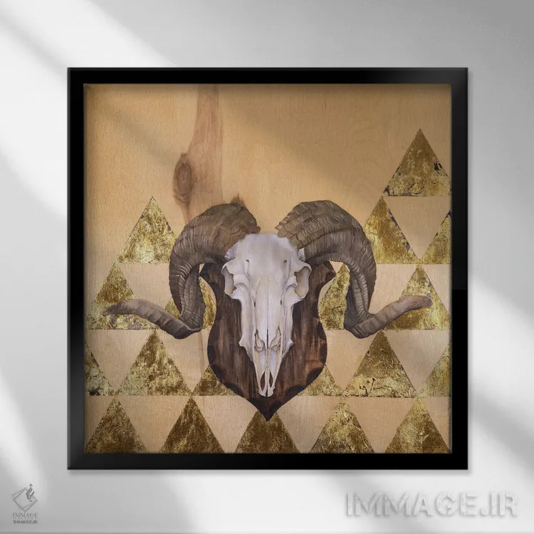 تابلو جمجمه قوچ اثر آندریا فِیرفرویس - نمای قابدار مشکی