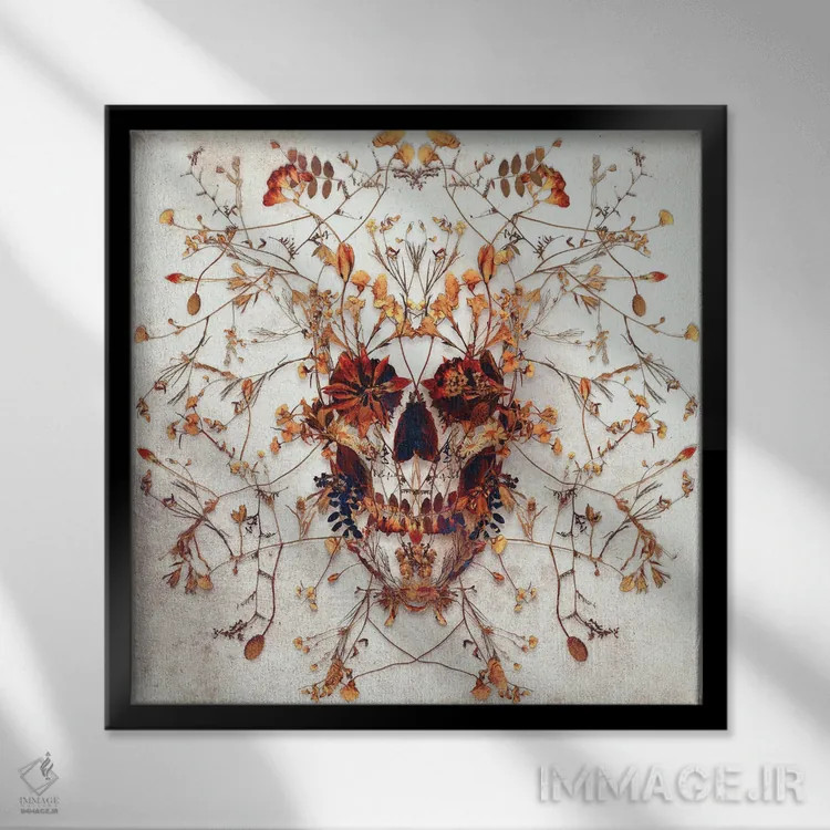 تابلو جمجمه ظریف مربع اثر علی گولچ - نمای قابدار مشکی