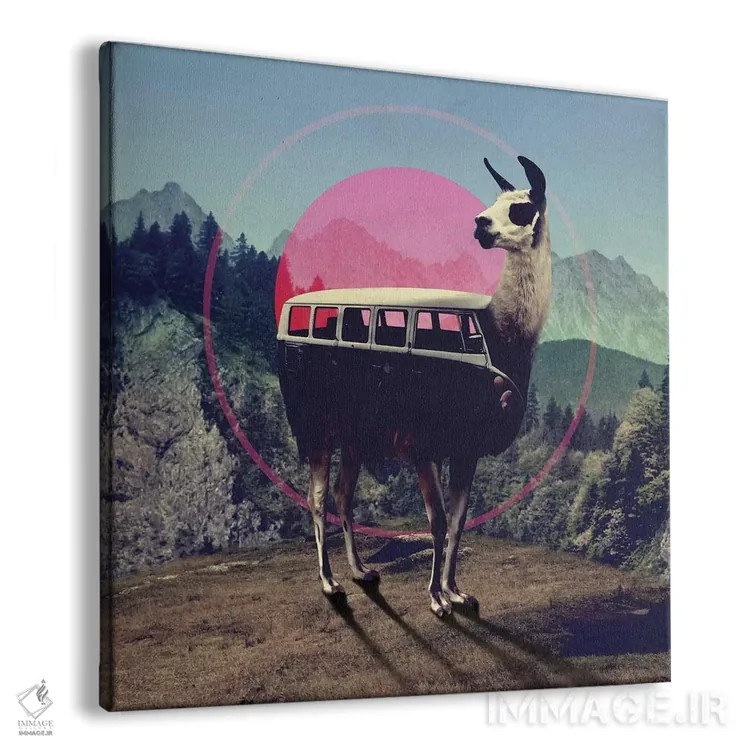 تابلو لاما (حیوان آمریکای جنوبی) اثر علی گولچ - نمای پرسپکتیو محصول