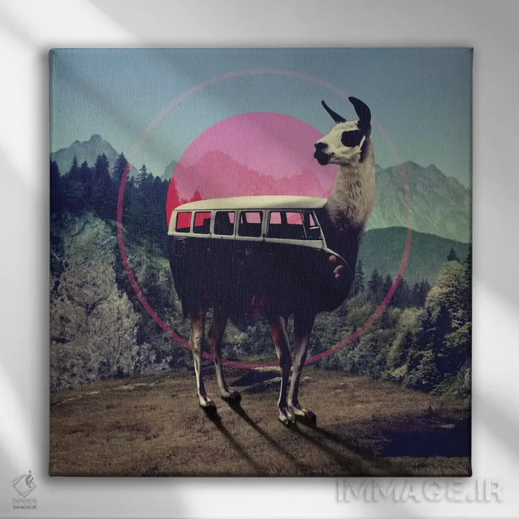 تابلو لاما (حیوان آمریکای جنوبی) اثر علی گولچ - نمای روبهرو روی دیوار
