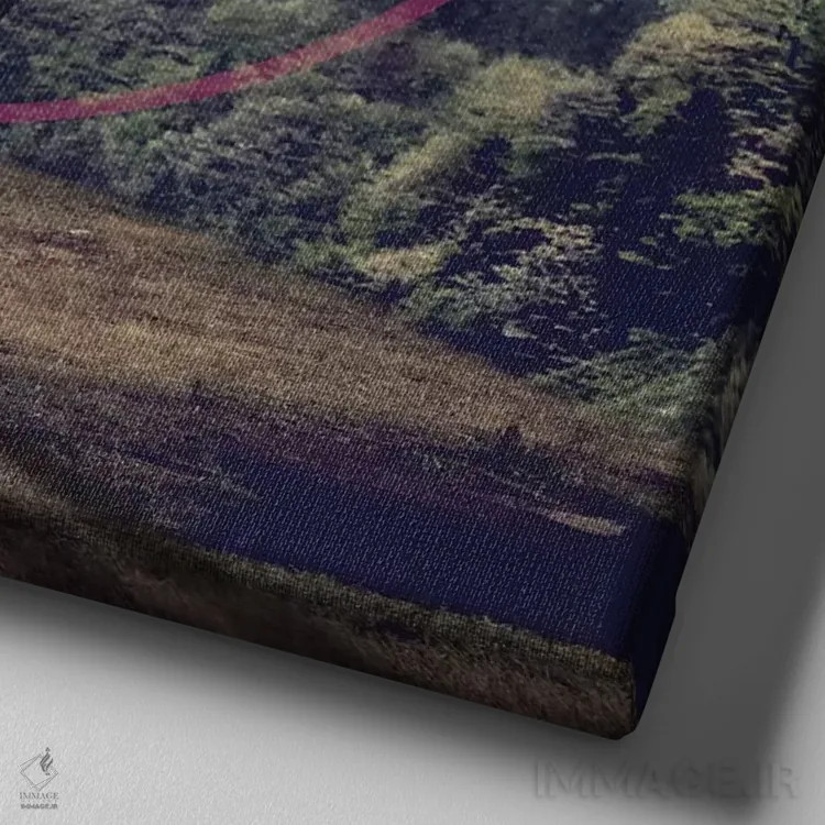 تابلو لاما (حیوان آمریکای جنوبی) اثر علی گولچ - نمای نزدیک بافت بوم