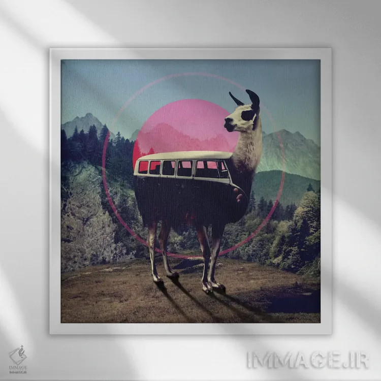 تابلو لاما (حیوان آمریکای جنوبی) اثر علی گولچ - نمای قابدار سفید