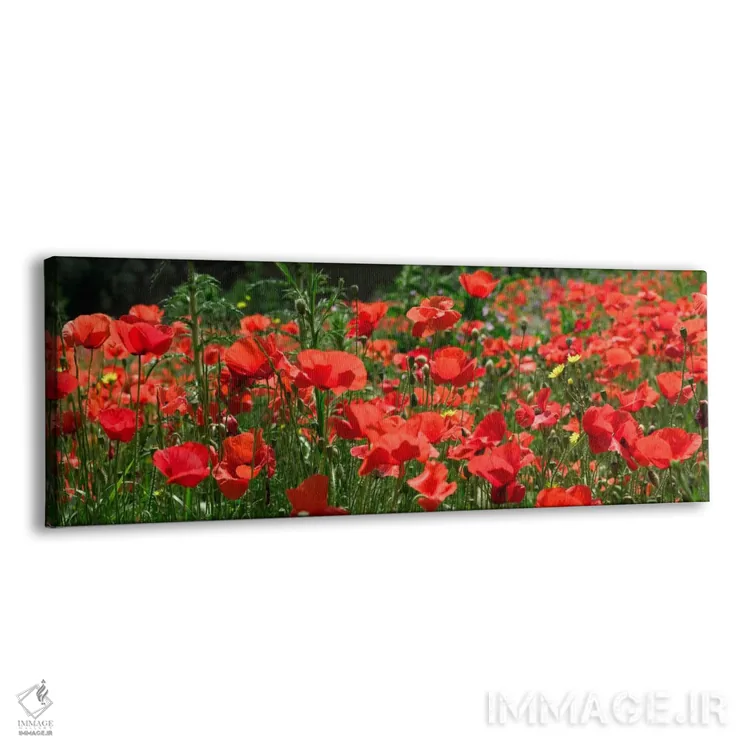 تابلو مزرعهٔ شقایق قرمز، اروپا اثر آلبرت لیل - نمای پرسپکتیو محصول