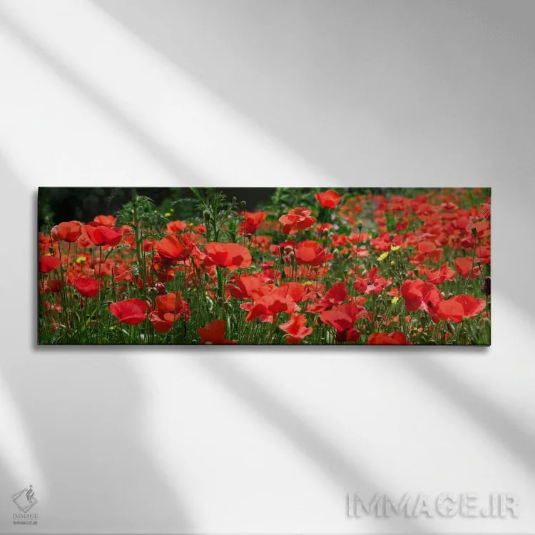 تابلو مزرعهٔ شقایق قرمز، اروپا اثر آلبرت لیل - نمای روبهرو روی دیوار