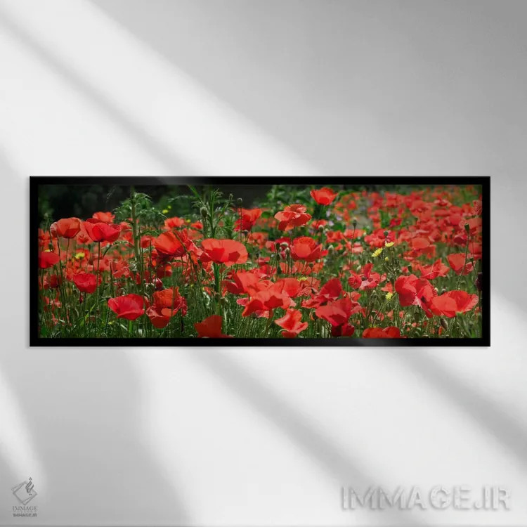 تابلو مزرعهٔ شقایق قرمز، اروپا اثر آلبرت لیل - نمای قابدار مشکی