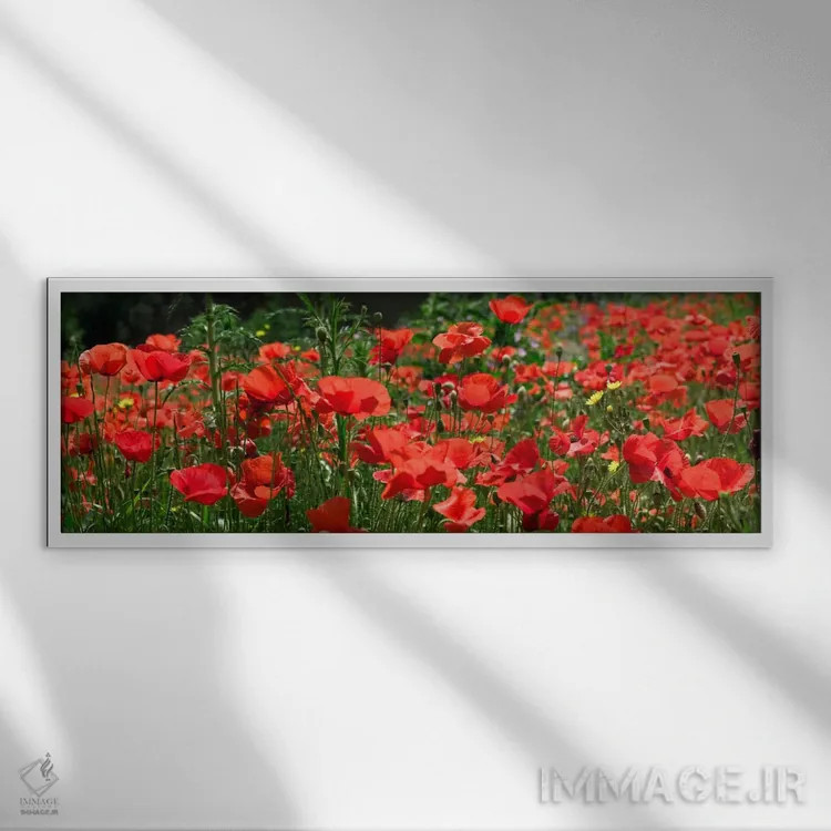 تابلو مزرعهٔ شقایق قرمز، اروپا اثر آلبرت لیل - نمای قابدار سفید