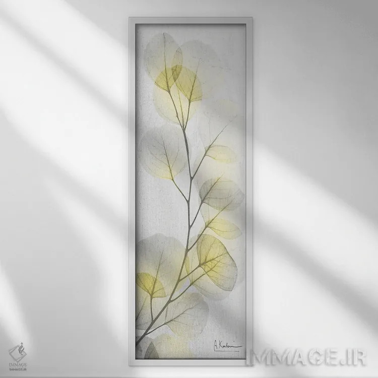 تابلو آفتاب اکالیپتوس I اثر آلبرت کوئتسیِر - نمای قابدار سفید