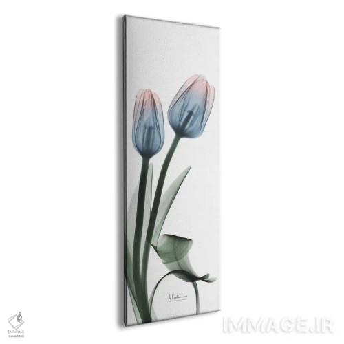 تابلو لالههای پوشالی غوطهور II اثر آلبرت کوئتسیِر - نمای پرسپکتیو محصول