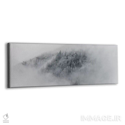 تابلو جزئیات درختان برفی در شامونی، فرانسه اثر الکس بیوس - نمای پرسپکتیو محصول