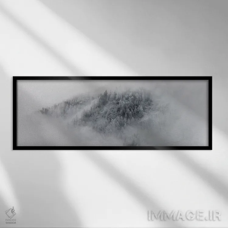 تابلو جزئیات درختان برفی در شامونی، فرانسه اثر الکس بیوس - نمای قابدار مشکی