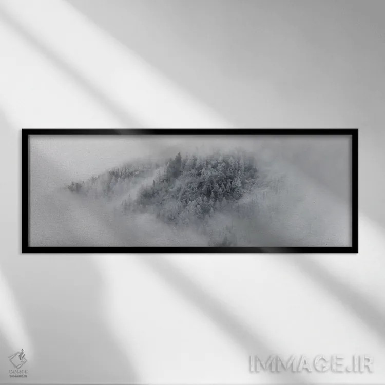 تابلو جزئیات درختان برفی در شامونی، فرانسه اثر الکس بیوس - نمای قابدار مشکی