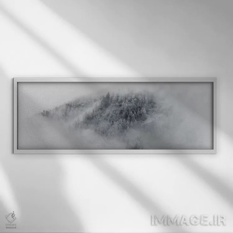 تابلو جزئیات درختان برفی در شامونی، فرانسه اثر الکس بیوس - نمای قابدار سفید
