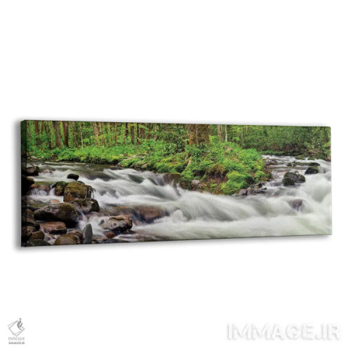 تابلو آمریکا، کارولینای شمالی، پارک ملی کوههای اسموکی بزرگ، جریان استریت فورک اثر آن کالینز - نمای پرسپکتیو محصول