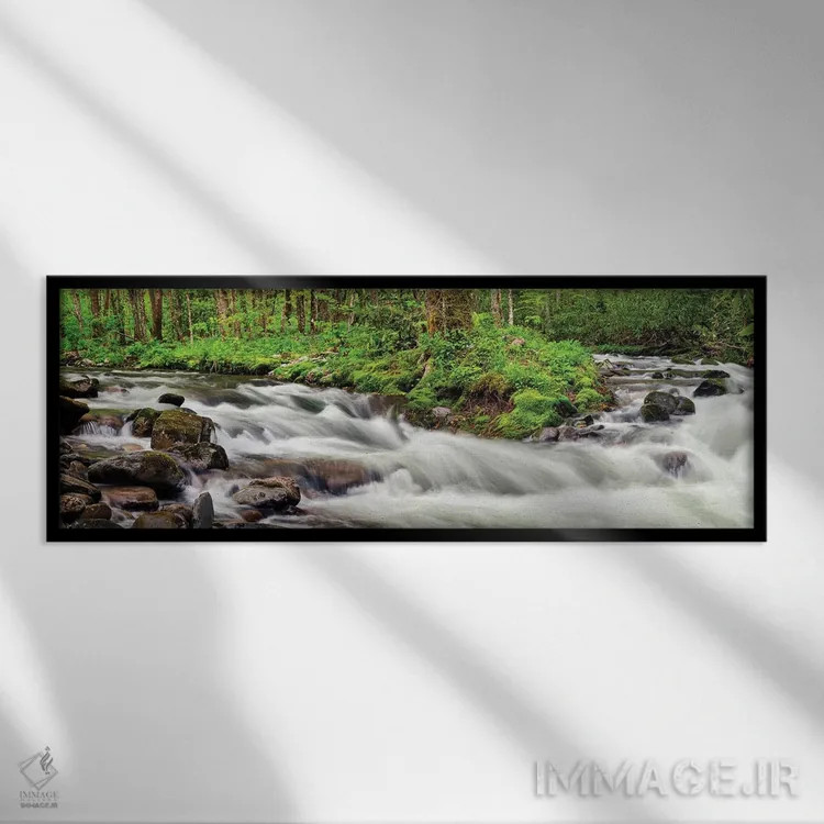 تابلو آمریکا، کارولینای شمالی، پارک ملی کوههای اسموکی بزرگ، جریان استریت فورک اثر آن کالینز - نمای قابدار مشکی