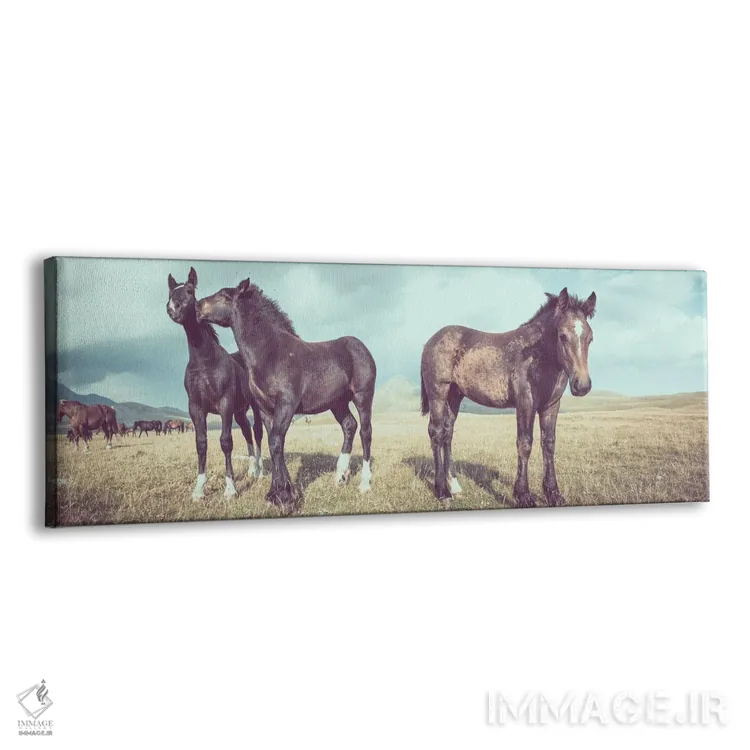 تابلو تبت کوچک XVI اثر آلساندرو پاسرینی - نمای پرسپکتیو محصول