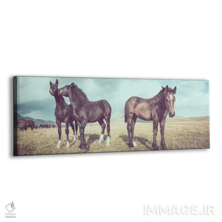 تابلو تبت کوچک XVI اثر آلساندرو پاسرینی - نمای پرسپکتیو محصول