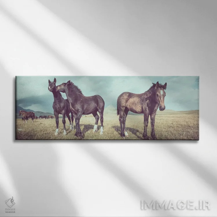 تابلو تبت کوچک XVI اثر آلساندرو پاسرینی - نمای روبهرو روی دیوار