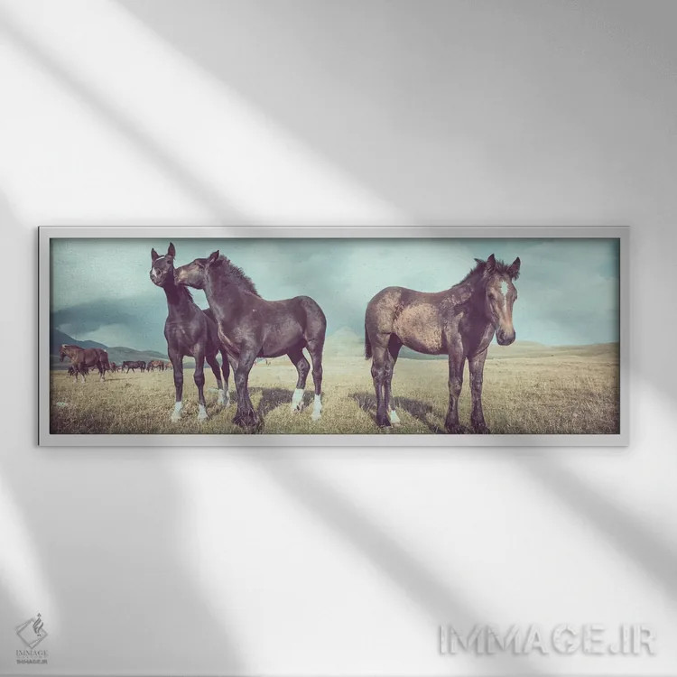 تابلو تبت کوچک XVI اثر آلساندرو پاسرینی - نمای قابدار سفید