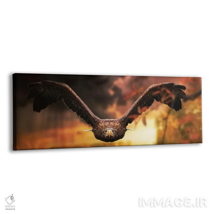 تابلو عقاب در پرواز هنگام غروب اثر آدریان ویریو - نمای پرسپکتیو محصول